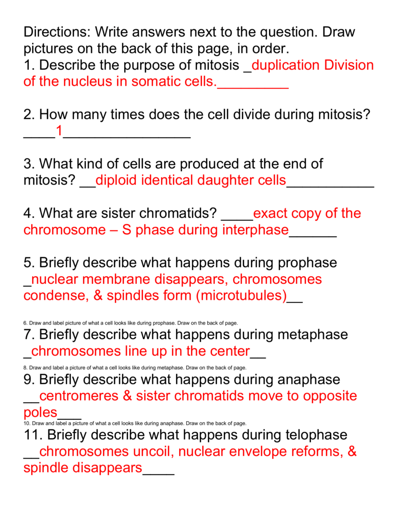 Meiosis Reading Comprehension Worksheet Answer Key Reading 