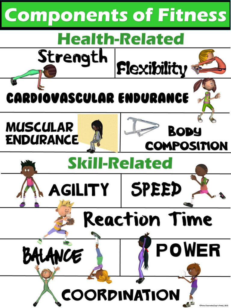 PE Poster Components Of Fitness Health And Skill Related 