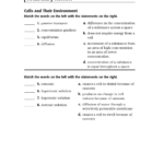 Skills Worksheet Vocabulary Review Holt Biology Answers