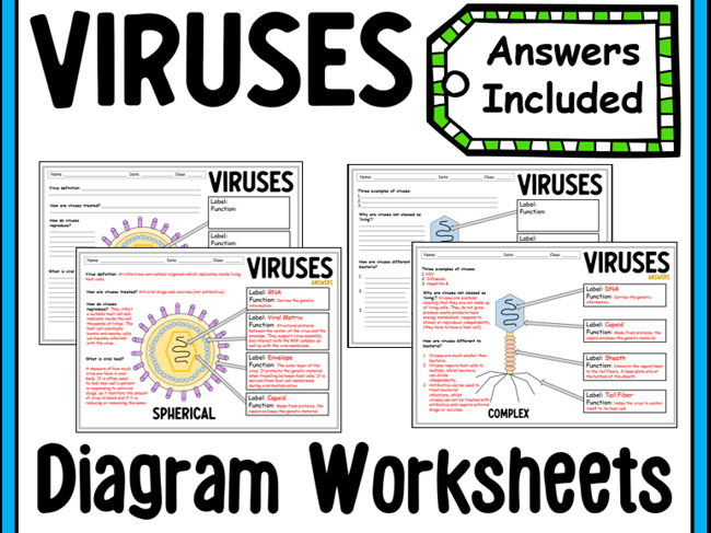 Viruses Diagram Worksheets Teaching Resources